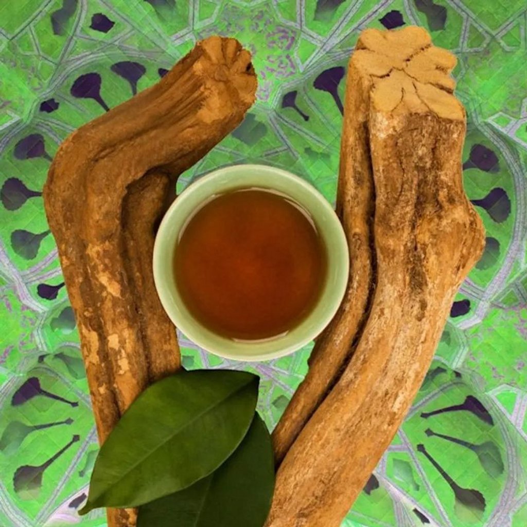 The Science of DMT & Ayahuasca
