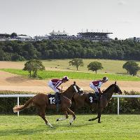 Midweek Racing at Goodwood Racecourse
