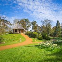 Spring Walk & Lunch with the Head Gardener