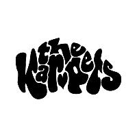 Inspiral Carpets Tom Hingley & The Kar-Pets + Mad4it Oasis Trib' Inspiral Carpets Tom Hingley & The Kar-Pets + Mad4it Oasis Trib'