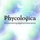 Phycologica: Immersive installation and exhibition Event Title Pic