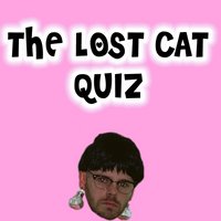 The Lost Cat Quiz at Lost Cat