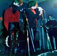 Psychedelic Confessions of a Primal Screamer