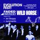 Evolution Fest Faded Shades, Wild Horse & special guests Event Title Pic