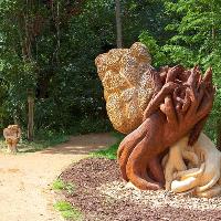 Woodland Edge Gardening Talk at The Swiss Garden