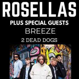 Our Sound Music Presents Rosellas, Breeze & 2 Dead Dogs