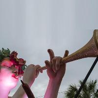 New Orleans Mardi Gras Special With The Clay Bottom Jug Busters