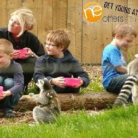Kirkley Hall Zoo - Family Pass at Kirkley Hall Zoological Gardens