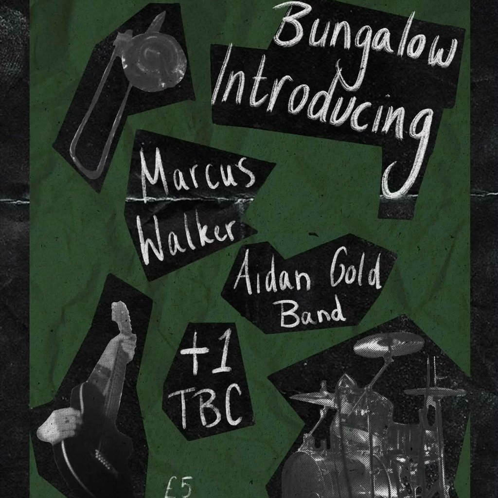 Introducing: Aidan Gold Band, Marcus Walker & 1 band tba