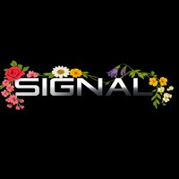 Signal: Summer Sessions at Torr Vale Mill