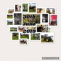 Bury Agricultural Show at Burrs Country Park