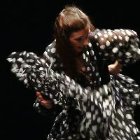 Flamenco Express at Deda
