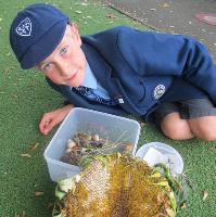 Open Morning