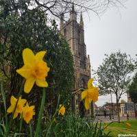 Spring 2019 Lunchtime Recitals