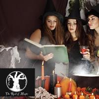 adults potions cocktails back to wizard school at The Root Of Magic City Centre