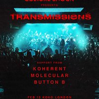 Culture shock at KOKO