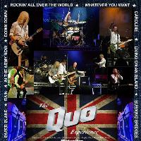 The Quo Experience