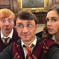 Harry Potter and the Petrifying Play Factore