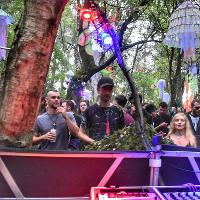 The Psychedelic Way Forest Gathering