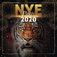 the midnight countdown - new year's eve at Tiger Tiger