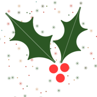 Festive Knees Up at Britannia Adelphi Hotel
