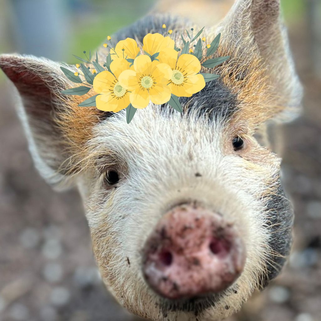 Easter Eggstravaganza