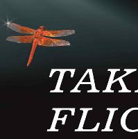 Taking Flight Festival