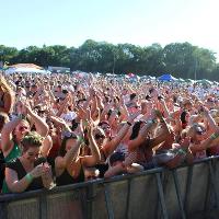 Festival In The Pit at Vipers Rugby Football Club