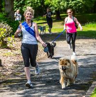 Doggy Dash For Life 2018