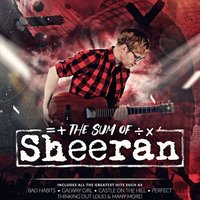The Sum of Sheeran live @ KellysBar