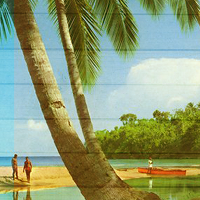 Tropical Disco Hustle (Nigerian Disco Special)