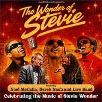The Wonder of Stevie