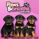 Puppy yoga Birmingham Event Title Pic