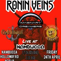 FREE: Ronin Veins/Imaginary Dreamers/Goblinaut/The Custard Sc at Nambucca