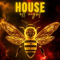 House all night at MN1 Nightclub Manchester