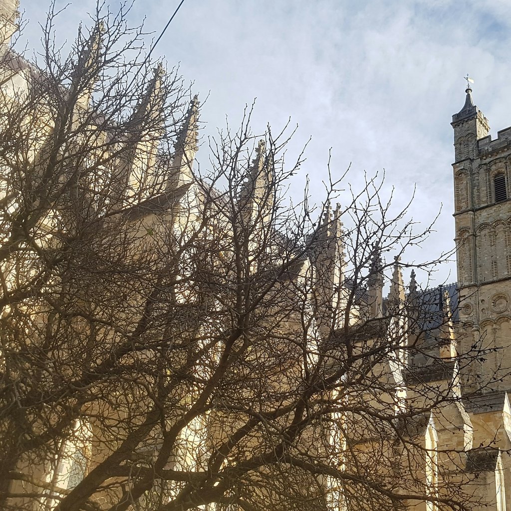 Exeter Audio Tour: Everyday Histories — Royal Albert Memorial Museum ...