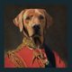 The Duke's Underground Sessions Event Title Pic