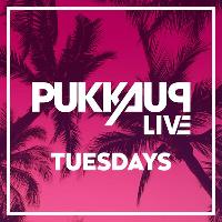 Pukka Up Ibiza Tuesdays