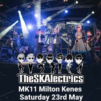 The SKAlectrics