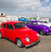 Bug Jam 31