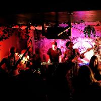 S.A.A.R.A LIVE