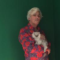 Robyn Hitchcock