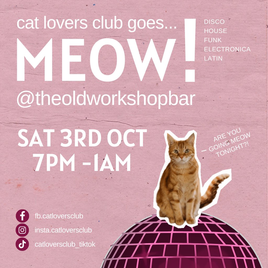 Cat Lovers Club goes... MEOW! At the Old Workshop at The Old Workshop, Aberdeen