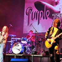 Purple Zeppelin at The Northcourt Abingdon United
