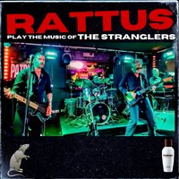 Rattus play the Stranglers at The Victoria Inn, Derby at The Victoria Inn 