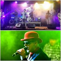 MADNESS tribute band LP6, best in the world