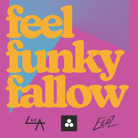 Feel Funky Fallow at XLR