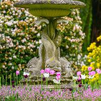 Summer Walk & Lunch with the Head Gardener