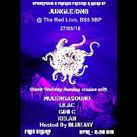 Optimystic & Friends FREE Jungle/DnB Session 11