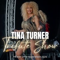 Queen of Rock n Roll A Tina Turner Tribute